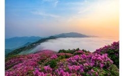 베스트갤러리 - 그리운~봉화산