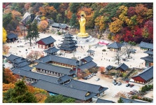 베스트갤러리 - 법주사 추경