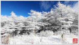 베스트갤러리 - 태기산