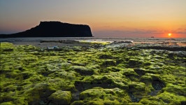 베스트갤러리 - 성산포 일출