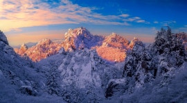 베스트갤러리 - 한계령