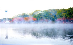 베스트갤러리 - 호숫가의 물안개
