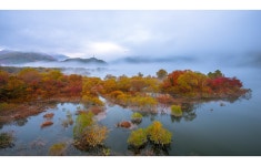 베스트갤러리 - 물안개 피는곳