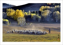 베스트갤러리 - 퍠샹 전원 풍경