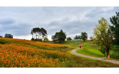 베스트갤러리 - 걸어도 또 걷고싶은 길