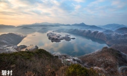 베스트갤러리 - 붕어섬