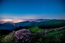 베스트갤러리 - 풍기읍의 새벽을