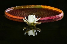 베스트갤러리 - 궁남지