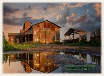 베스트갤러리 - 안성목장