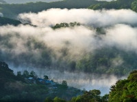 베스트갤러리 - 강촌의 물안개