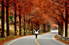 베스트갤러리 - 메타길