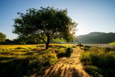 베스트갤러리 - 함안 뚝방