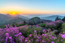 베스트갤러리 - 초암산 산정에서