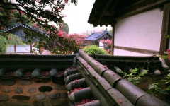 베스트갤러리 - 옥구 향교