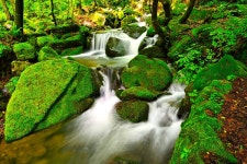 베스트갤러리 - 상동