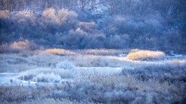 베스트갤러리 - 일출빛이 조은날에~~