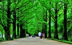 베스트갤러리 - 담양