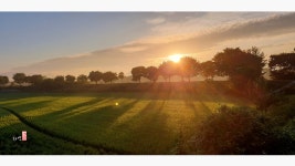 베스트갤러리 - 들녘의 아침