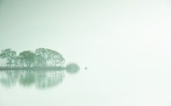 베스트갤러리 - 강가의 아침