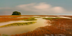 베스트갤러리 - 황산도 갯골