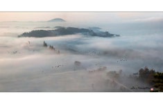 베스트갤러리 - 안개자욱한 들녁