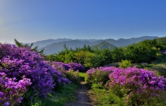 바래봉식품(영) | 베스트갤러리 - 바래봉아침