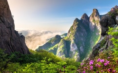 베스트갤러리 - 아름다운 우리강산