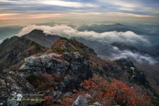 베스트갤러리 - 만추 (가야산)