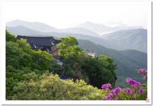 추천갤러리 - 남해 금산 보리암 근처에서,,,