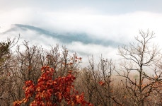 추천갤러리 - 산성에는..........
