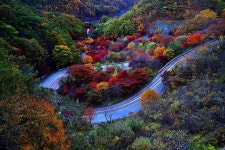 추천갤러리 - 보발재