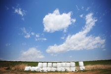 추천갤러리 - 안성목장