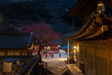 추천갤러리 - 화엄사