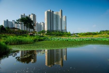 추천갤러리 - 쾌적한아파트