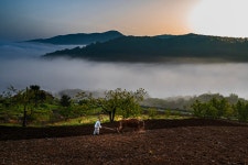 추천갤러리 - 소밭갈이