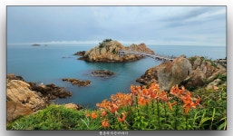 추천갤러리 - 대왕암 공원