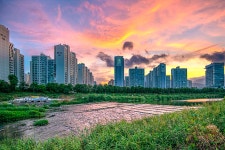 추천갤러리 - 중랑천의 노을