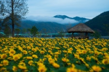 추천갤러리 - 자라섬 가을