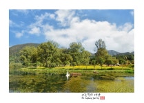 추천갤러리 - 자라섬남도