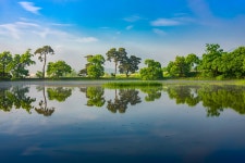 추천갤러리 - 대정제에서...