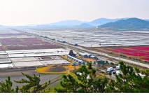 추천갤러리 - 신안태평염전