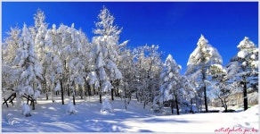 추천갤러리 - 겨울이 그립다.
