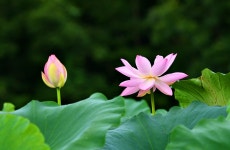 추천갤러리 - 비실마을 산책