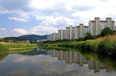 추천갤러리 - 남천둔치