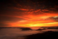 추천갤러리 - 장령산에서~