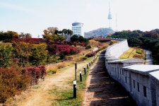 추천갤러리 - 서울 남산