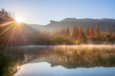 추천갤러리 - 오봉제