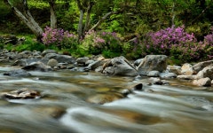 추천갤러리 - 달궁의 하루