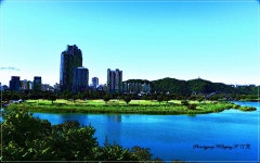 추천갤러리 - 태화강