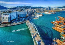 추천갤러리 - 부산대교